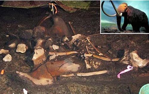Discovered a huge 'graveyard' during the ice age