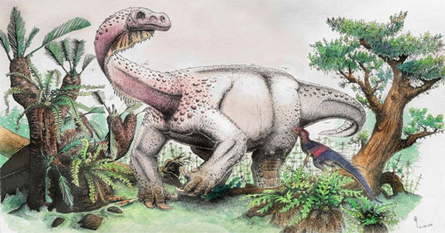 Discovered a new giant dinosaur twice the size of an elephant