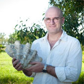 Discovered a new giant oyster species living in Australia