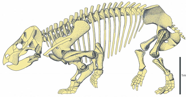 Discovered a new herbivorous giant lizard that lived more than 200 million years ago
