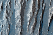 Discovered a series of finger-shaped stones on the surface of Mars