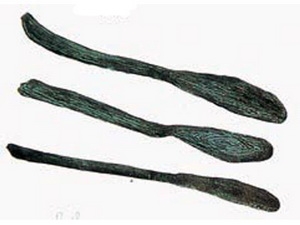 Discovered a Stone Age paddle in Korea
