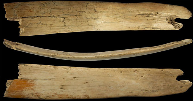Discovered a strange 50,000-year-old crown in Siberia