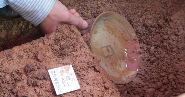 Discovered an ancient disc at the place of the burial of King Quang Trung