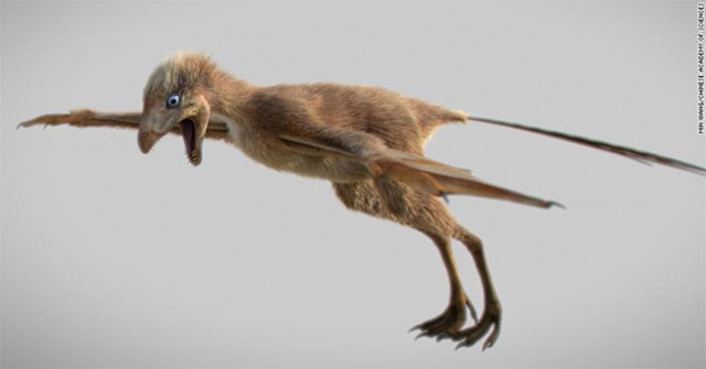 Discovered bat-like dinosaurs in China