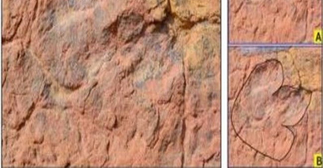 Discovered dinosaur footprint 150 million years