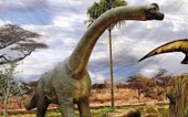 Discovered dinosaurs as high as 9 double-decker buses