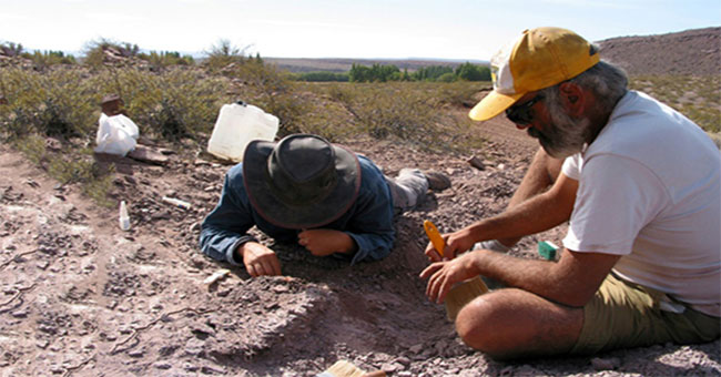 Discovered dinosaurs never known in Argentina