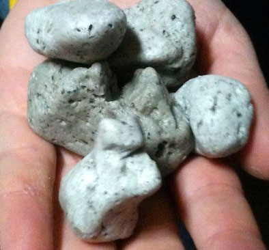 Discovered drifting rocks in exotic seas in the Pacific Ocean