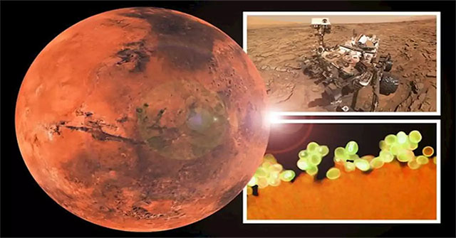Discovered Earth's 'living material' on another planet