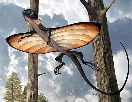 Discovered flying lizards that lived 125 million years ago in China