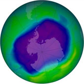 Discovered four new artificial gases that punctured the ozone layer