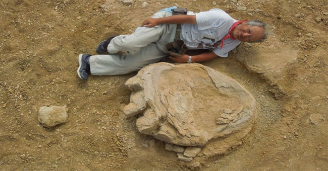 Discovered giant dinosaur footprints in the Mongolian desert