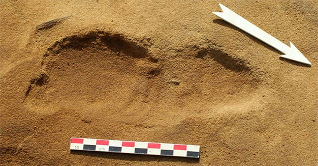 Discovered human footprints buried in the sand 80,000 years