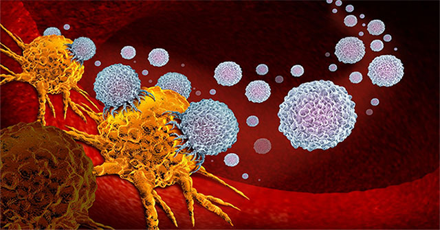 Discovered immune mechanism 'can treat all types of cancer'