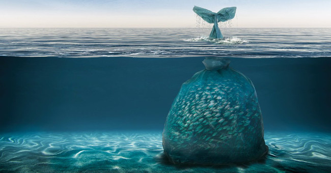 Discovered in the abdomen the 'living thing' in the deepest part of Earth