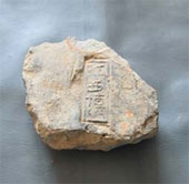 Discovered many ancient thousand-year bricks in Ho's Citadel