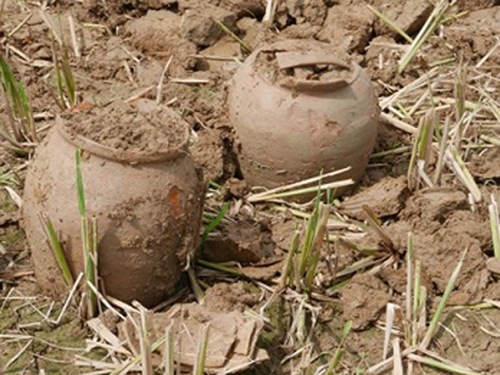 Discovered many thousand-year-old artifacts in Ho Citadel