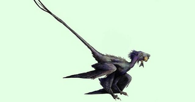 Discovered 'monster' dinosaur head, phoenix tail
