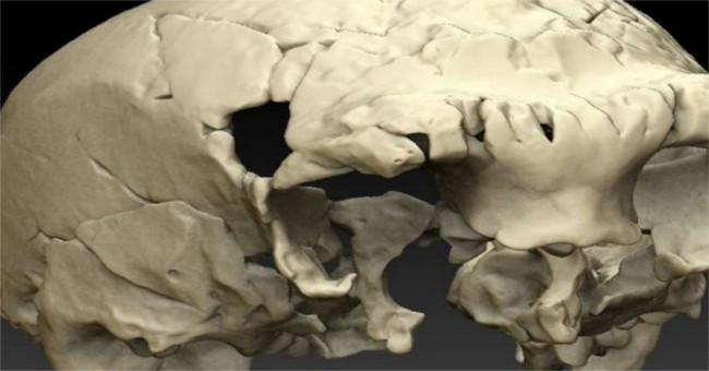 Discovered mysterious skull bones 400,000 years old in Portugal