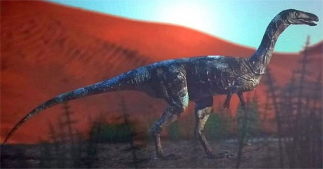 Discovered new carnivorous dinosaurs who once lived in the desert