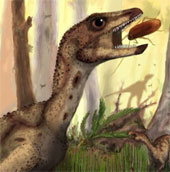 Discovered new dinosaurs, dating back 200 million years