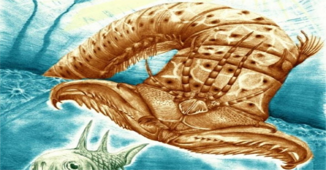 Discovered prehistoric beetles with scary jaws