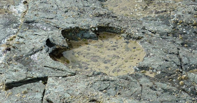 Discovered rare dinosaur footprints 170 million years ago