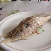 Discovered strange fish in Indonesia