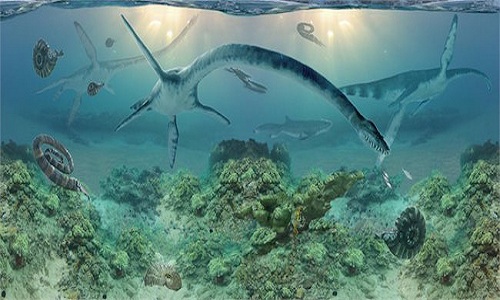 Discovered super long neck dinosaurs