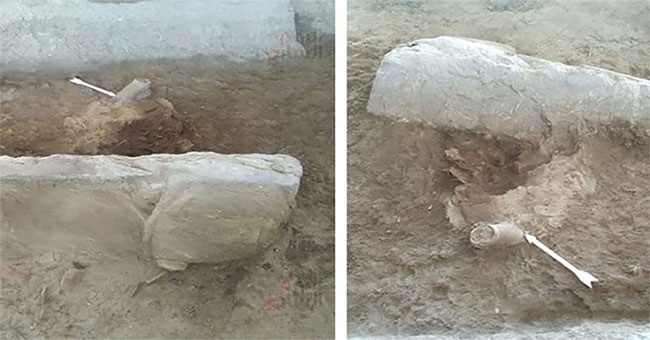 Discovered the 4,500 year old sphinx in Egypt