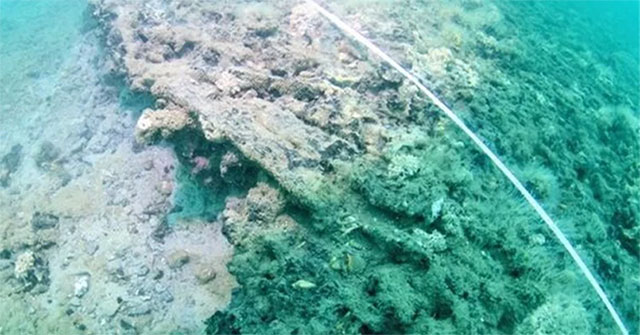 Discovered the 8,000-year shipyard ruins submerged under the seabed