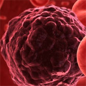 Discovered the attack mechanism of cancer cells