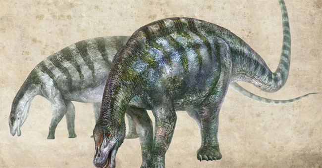 Discovered the 'magic dragon' fossil in China