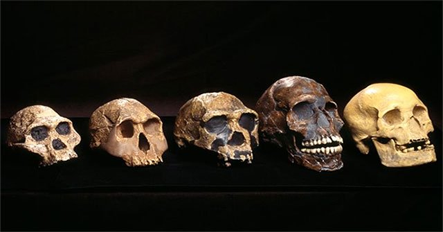 Discovered the mysterious 'ghost tribe' in West Africa