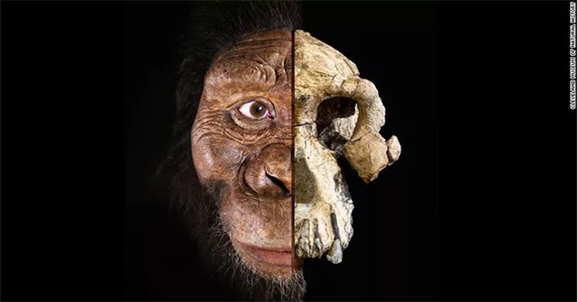 Discovered the new face of a human ancestor 3.9 million years old
