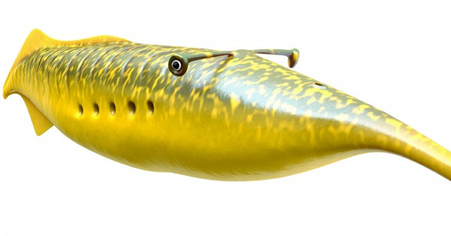 Discovered the origin of the monster Tully 300 million years ago