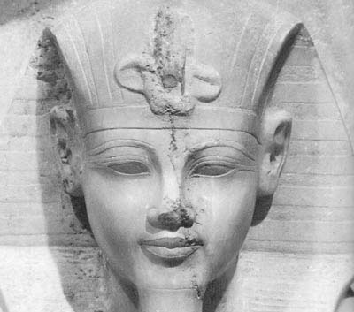 Discovered the phenomenon of King Tut's grandfather