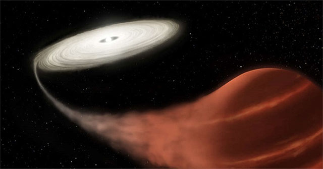 Discovered the 'predatory' star