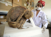 Discovered the pre-Inca baby mummy in Peru