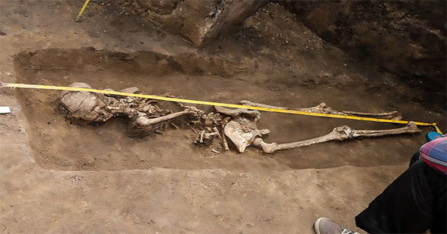 Discovered the skeleton
