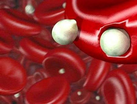 Discovered two variants of resistance to malaria