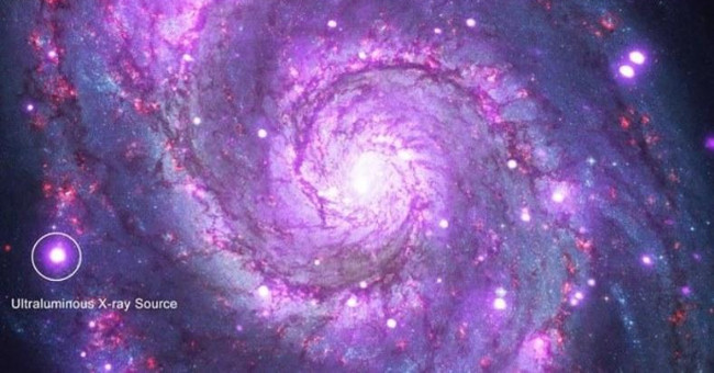 Discovering a bright star is a million times more massive than the Sun.