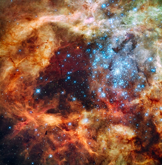 Discovering a star 300 times larger than the sun