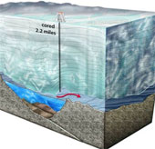 Discovering life under thick ice in Antarctica