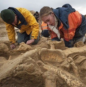 Discovering mammoth bones near Paris