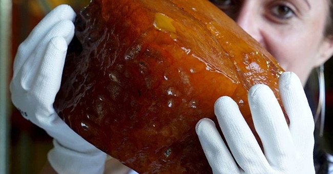 Discovering millions of years of amber masses with great value