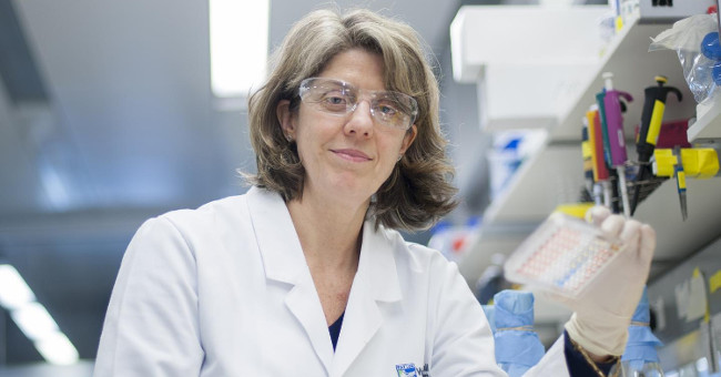 Discovering new proteins can destroy cancer cells