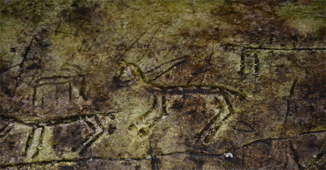 Discovering stone carvings of 2.6 million years old