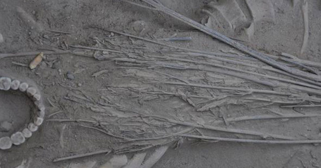 Discovering the burial custom of marijuana in a 2,500-year-old tomb